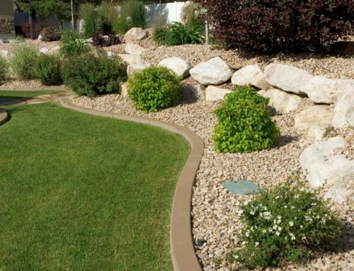 Enhance Your Yard with Professional Landscape Edging